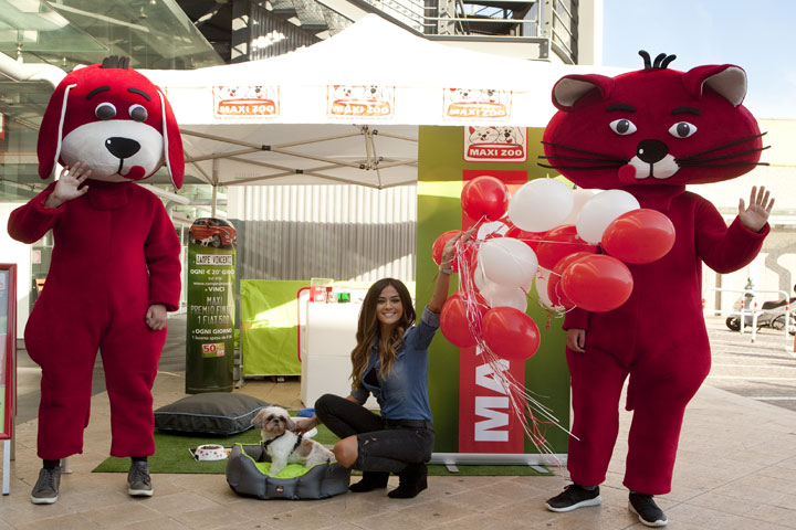 Maxi Zoo Guerrilla Marketing