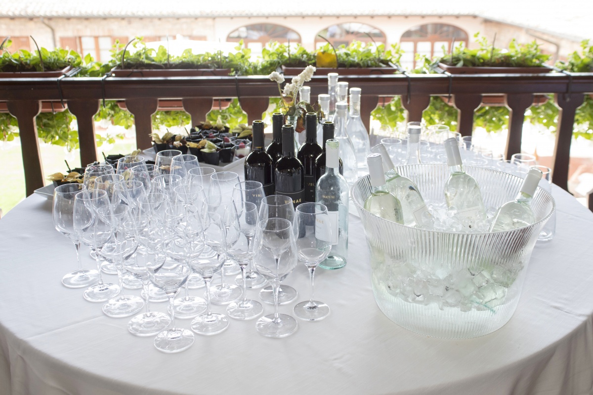 Maillis Wine Tasting - 11