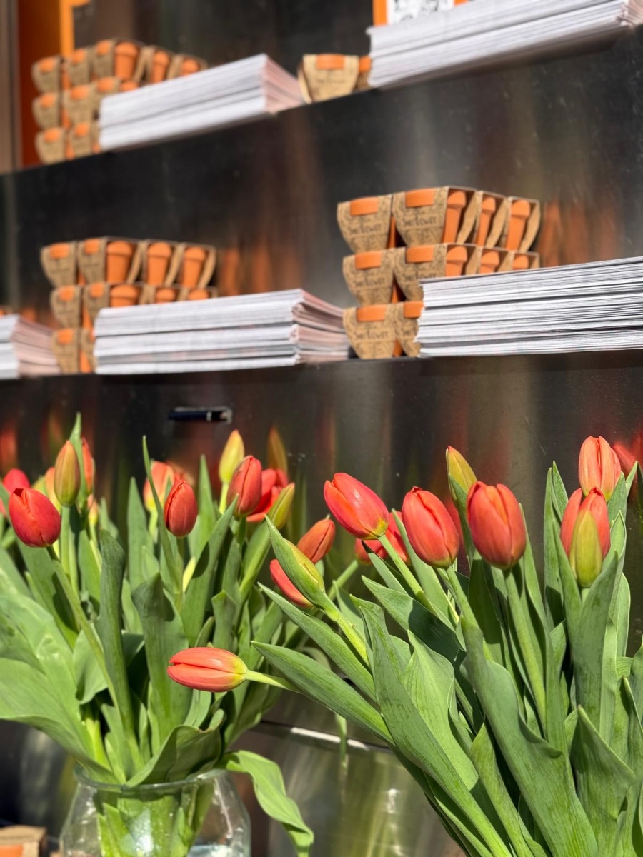 Street marketing innovativo a Milano: il successo di Casavo a Brera - 9