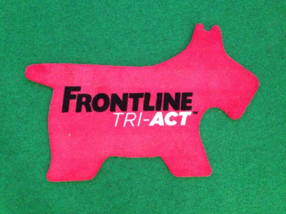 Smart Eventi: evento promozionale per Frontline - 5