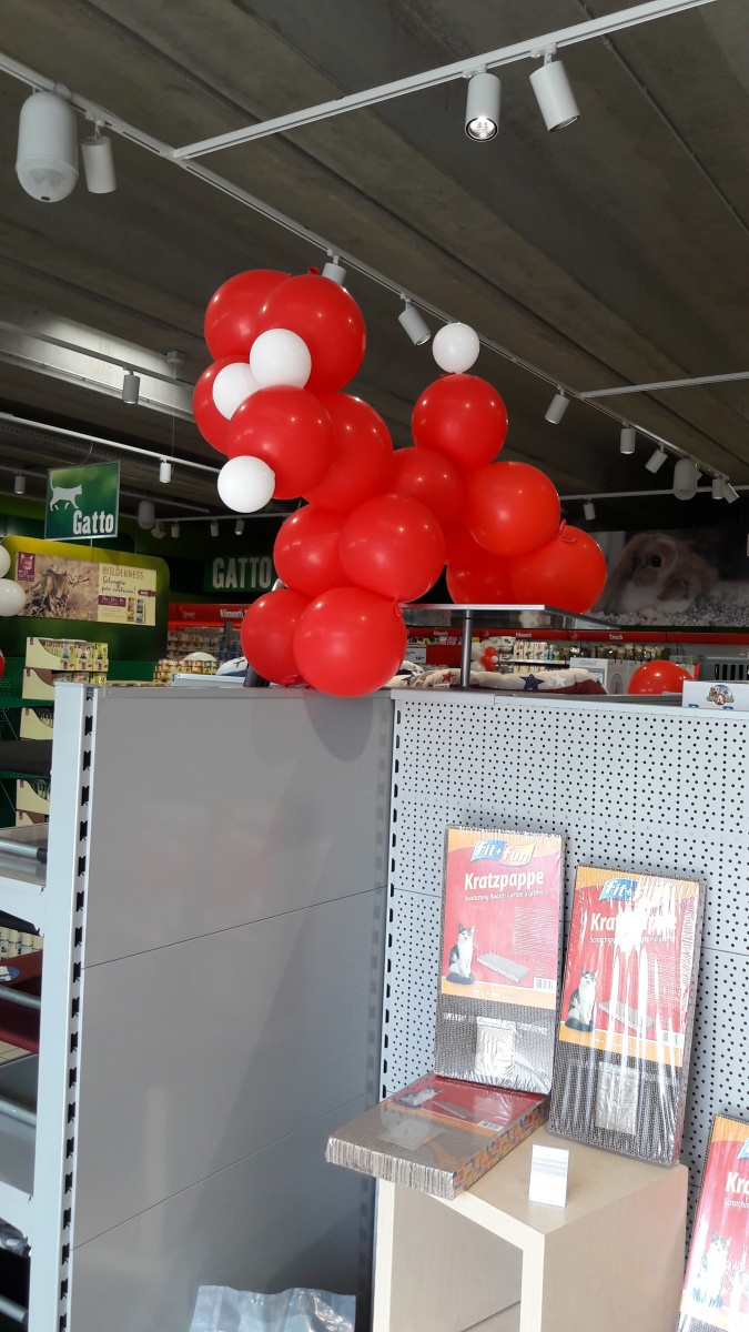 Inaugurazione negozio Maxizoo - 3