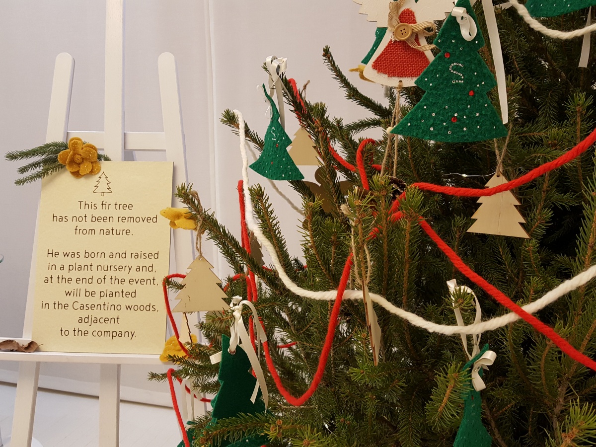 Showroom per Miniconf - 9