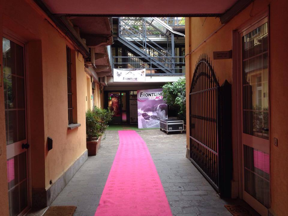 Smart Eventi: evento promozionale per Frontline - 9