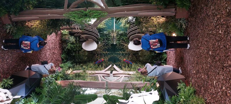 Una giungla urbana nel centro di Milano - 4