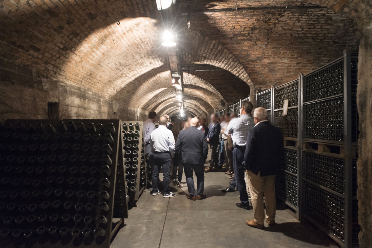 Maillis Wine Tasting - 5