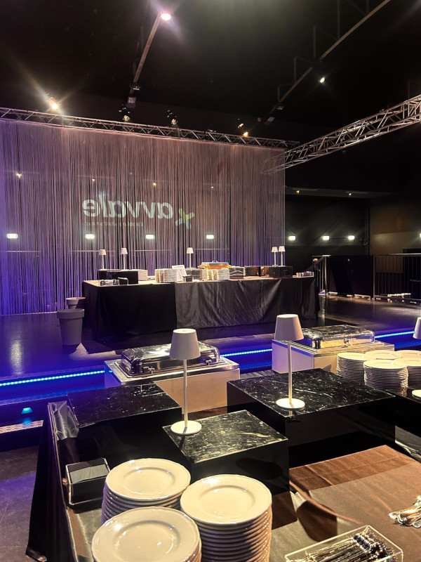 Avvale Spa: 20° Anniversario Aziendale con 1400 Ospiti - 10