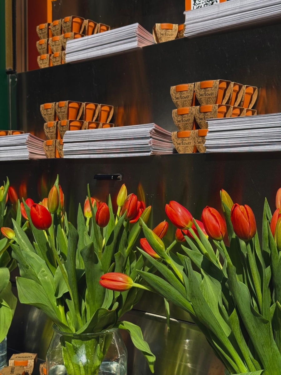 Street marketing innovativo a Milano: il successo di Casavo a Brera - 16