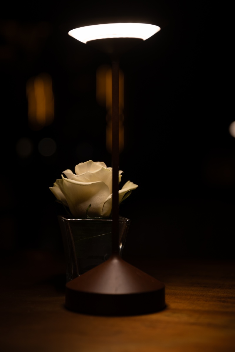 Un diciottesimo compleanno da ricordare a Milano - 18