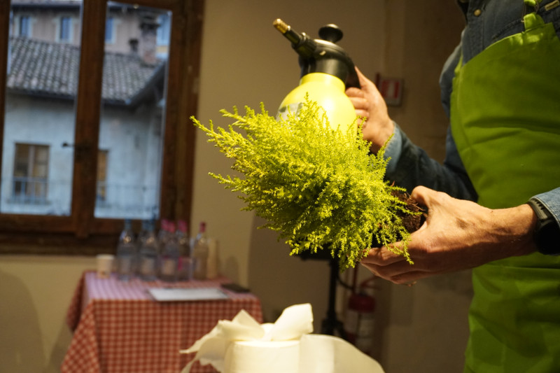 Team building sociale con Kokedama per AKAMAS - 14