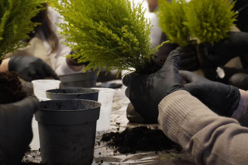 Team building sociale con Kokedama per AKAMAS - 13