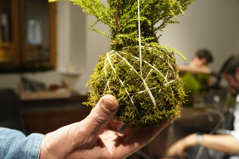Team building sociale con Kokedama per AKAMAS - 18