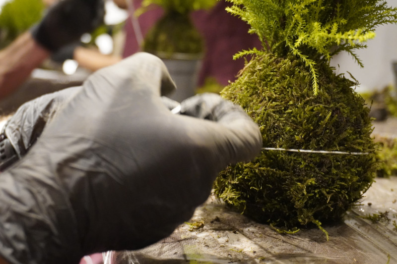 Team building sociale con Kokedama per AKAMAS - 5