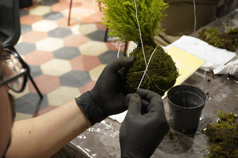 Team building sociale con Kokedama per AKAMAS - 4