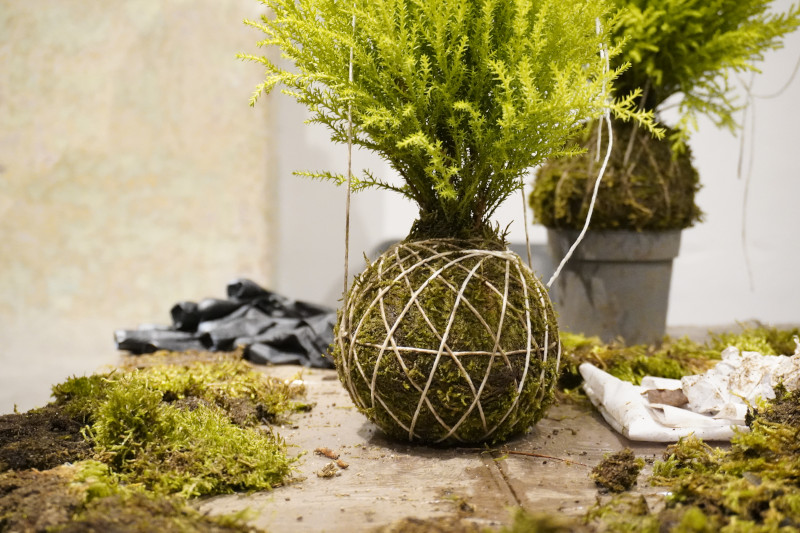 Team building sociale con Kokedama per AKAMAS - 20