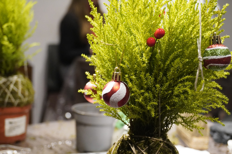 Team building sociale con Kokedama per AKAMAS - 17