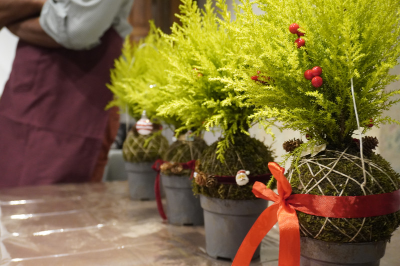 Team building sociale con Kokedama per AKAMAS - 2