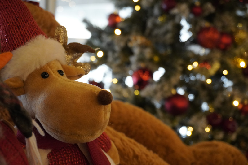 Team building natalizio per Xiaomi in cascina vicino Milano - 6