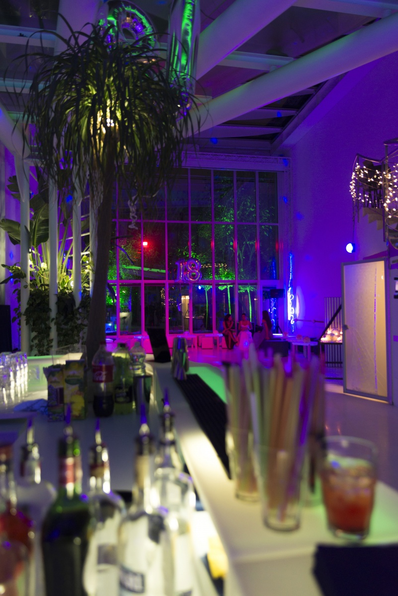 Festa 18 anni per cliente privato - 12