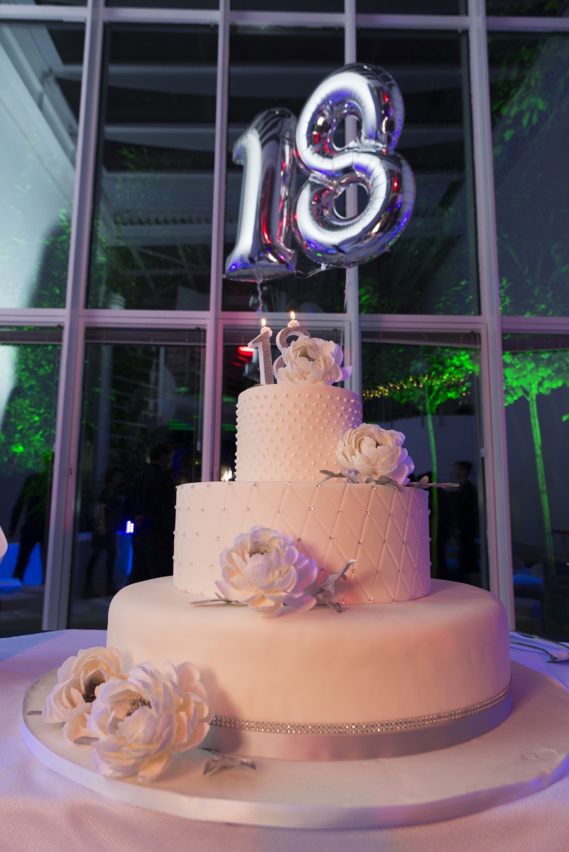 Festa 18 anni per cliente privato - 5