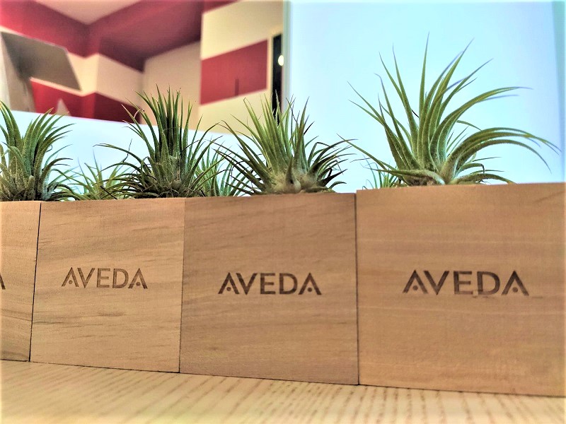 Seeding creativo per Aveda - 2