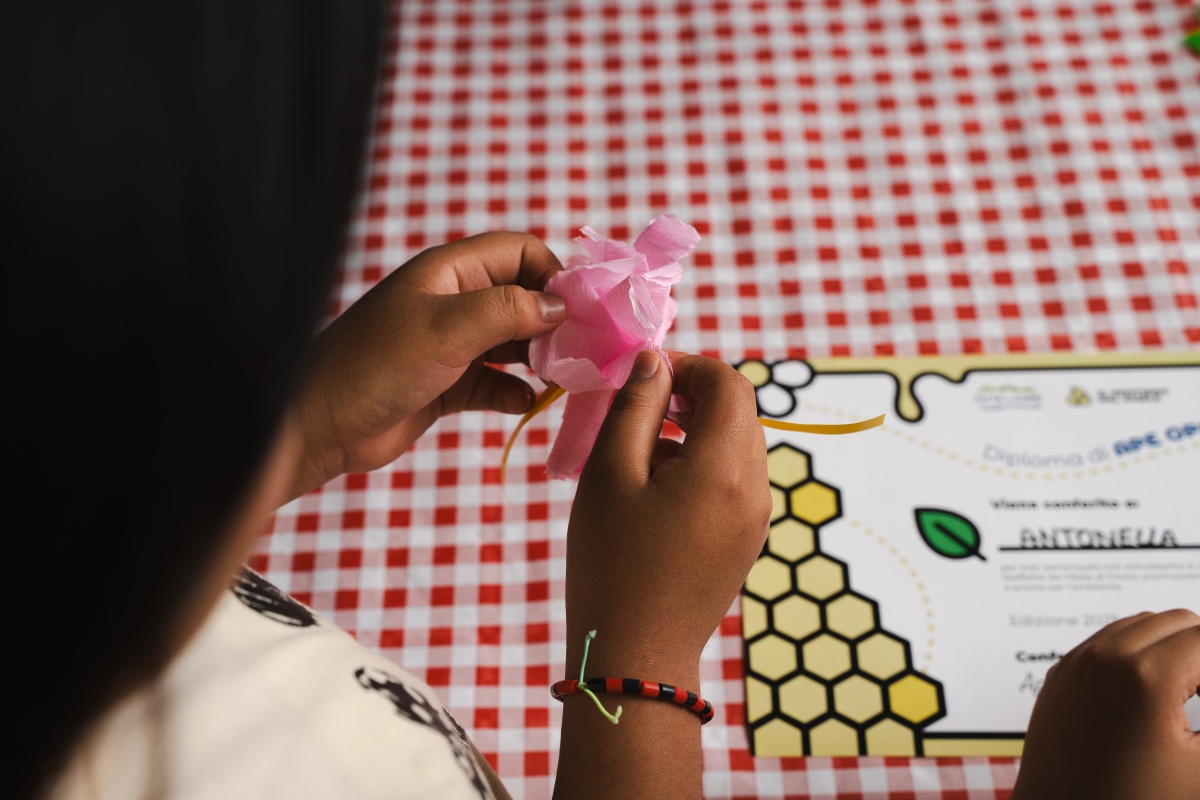 A Como arriva “Il Sentiero del Miele”: un progetto per educare e valorizzare l'identità cittadina - 0