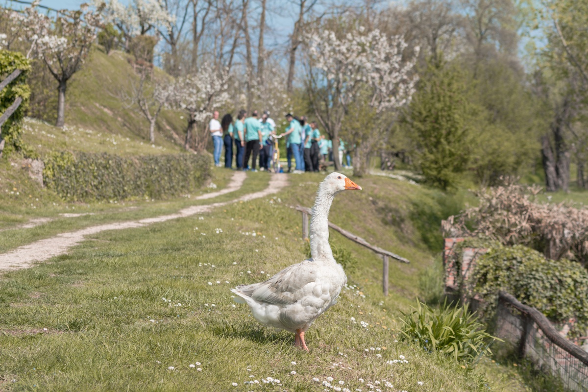 Prima convention Medi-Market Italia: un evento aziendale esclusivo sul Lago di Garda - 2