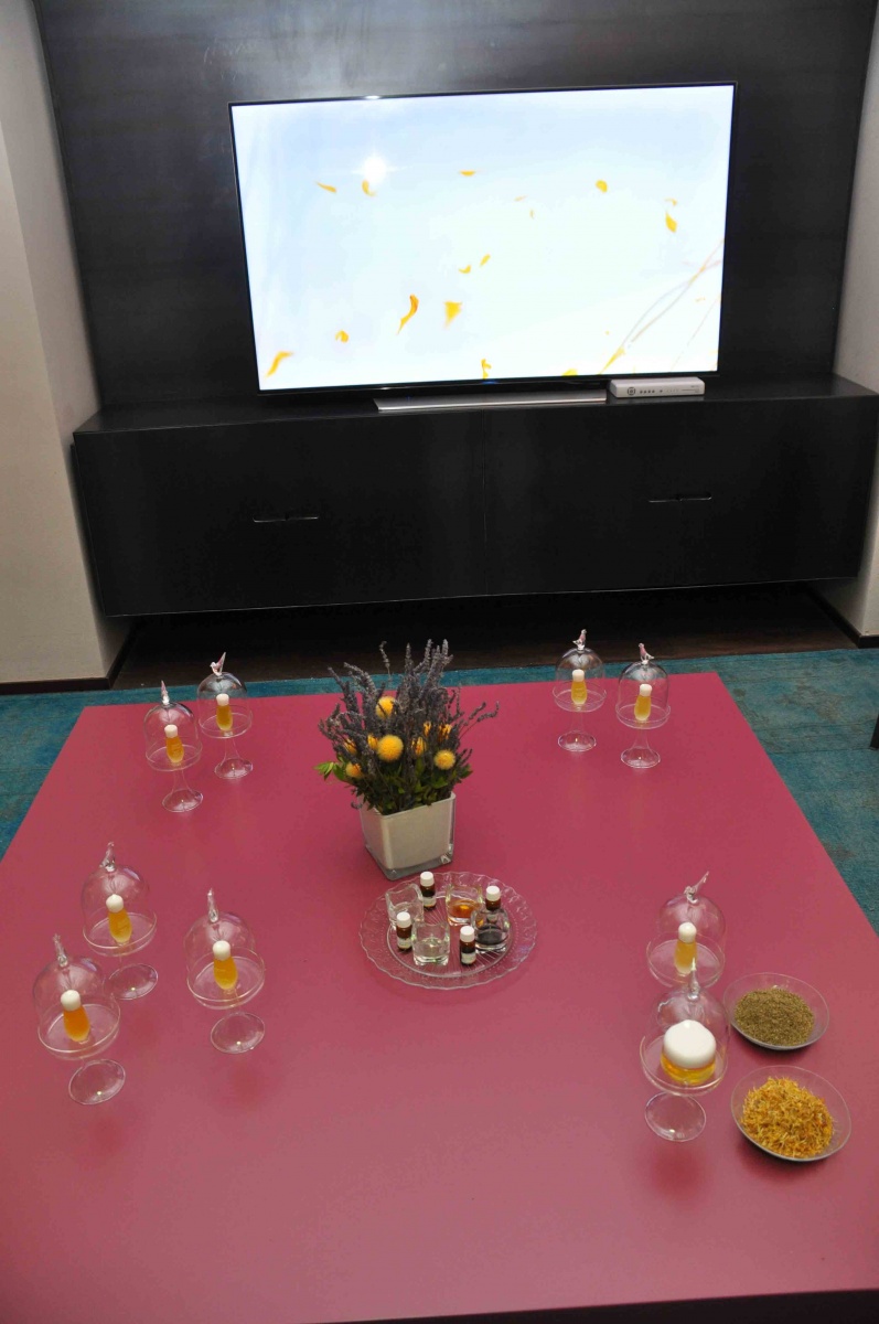 Press day per Darphin per la presentazione di una nuova maschera viso anti-stress - 17