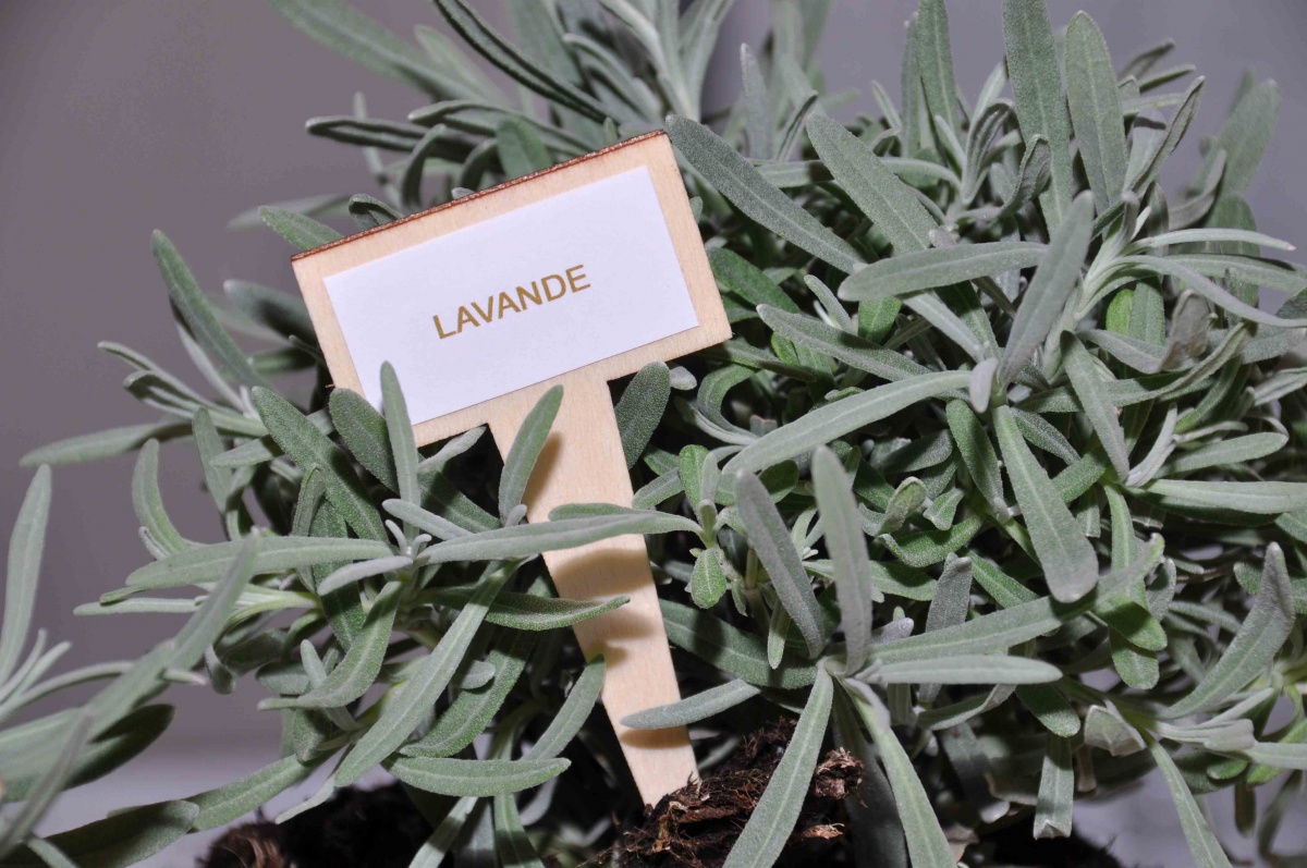 Press day per Darphin per la presentazione di una nuova maschera viso anti-stress - 21