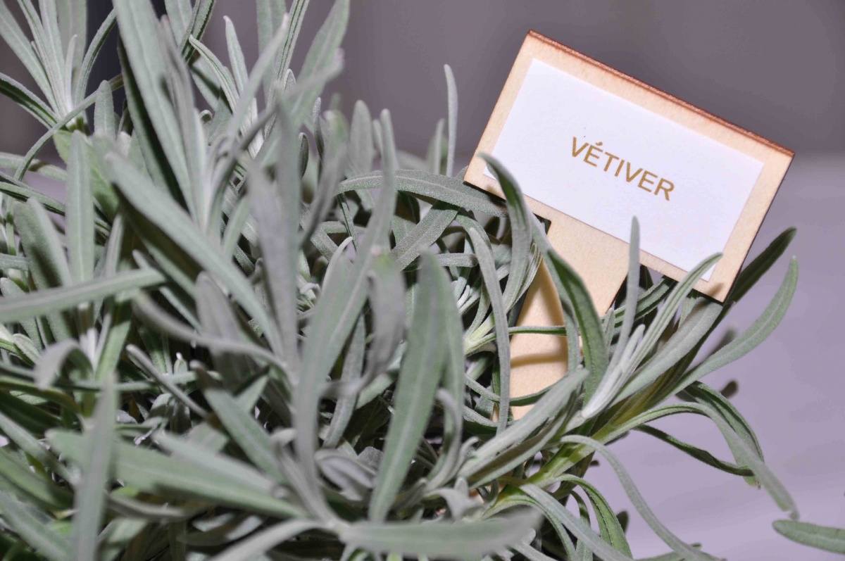 Press day per Darphin per la presentazione di una nuova maschera viso anti-stress - 19