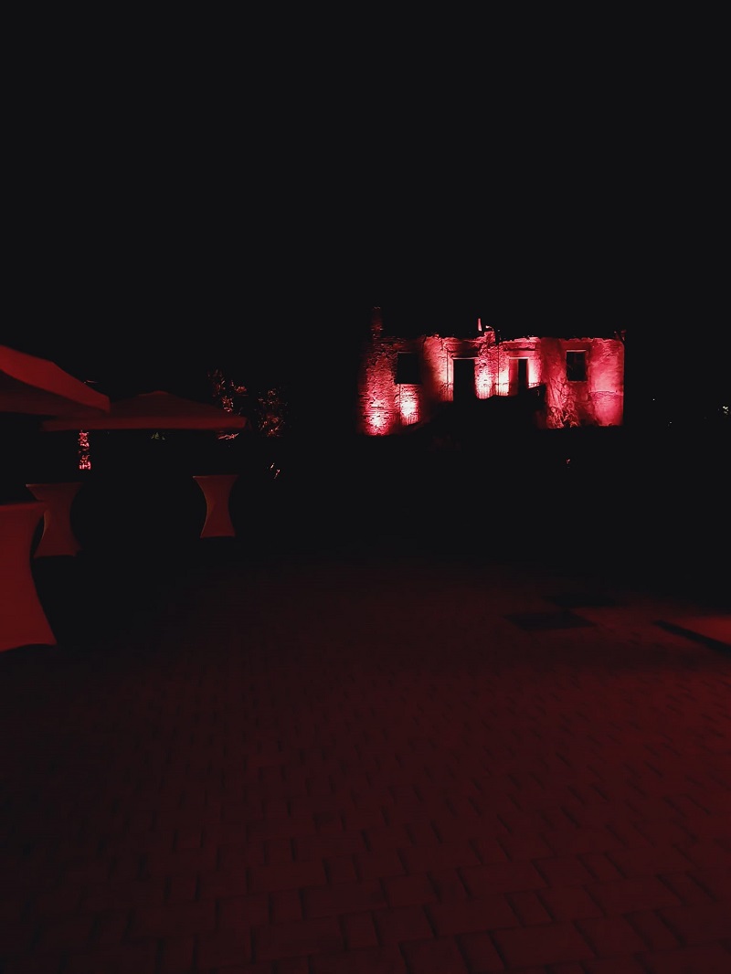 Organizzazione di una festa aziendale - 1