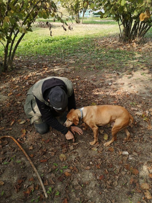 Viaggio incentive per Corti Fumagalli Giobbi - 10