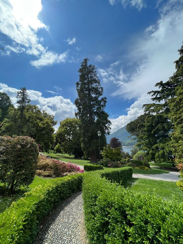 Viaggio in Italia: attività ricreative e culturali fra Milano e Monza - 6