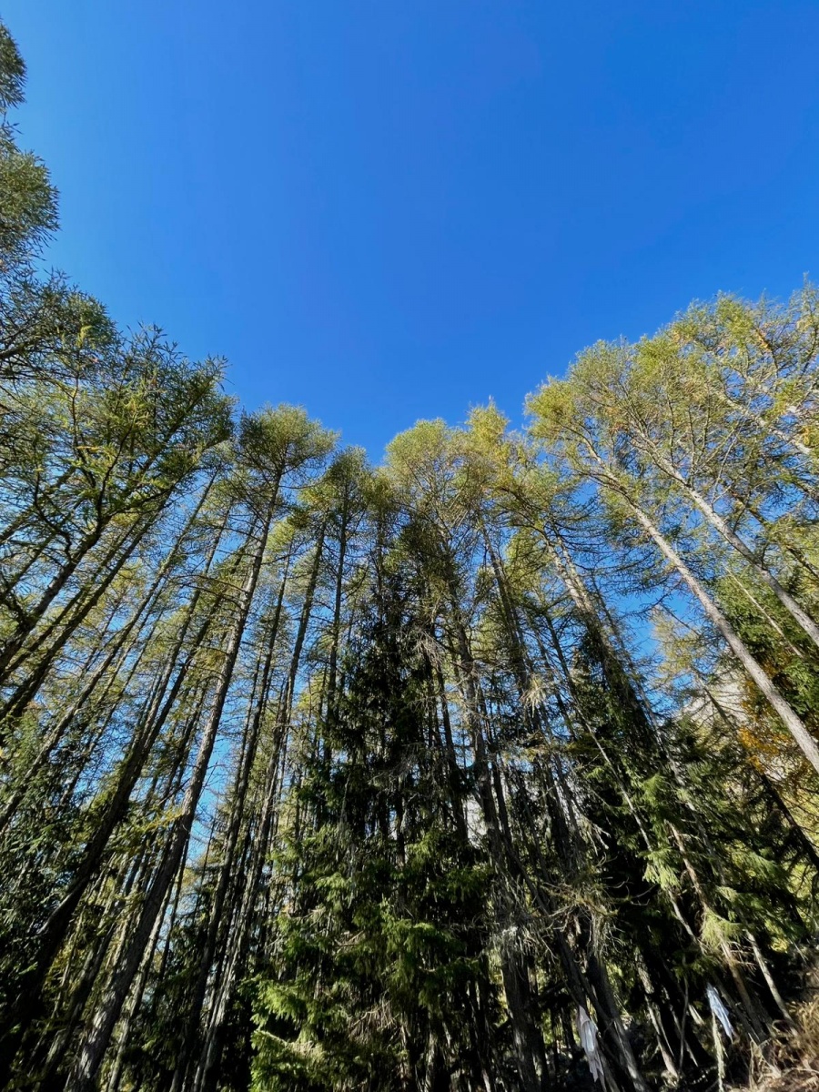 Incentive aziendale a Courmayeur tra formazione e team building - 5