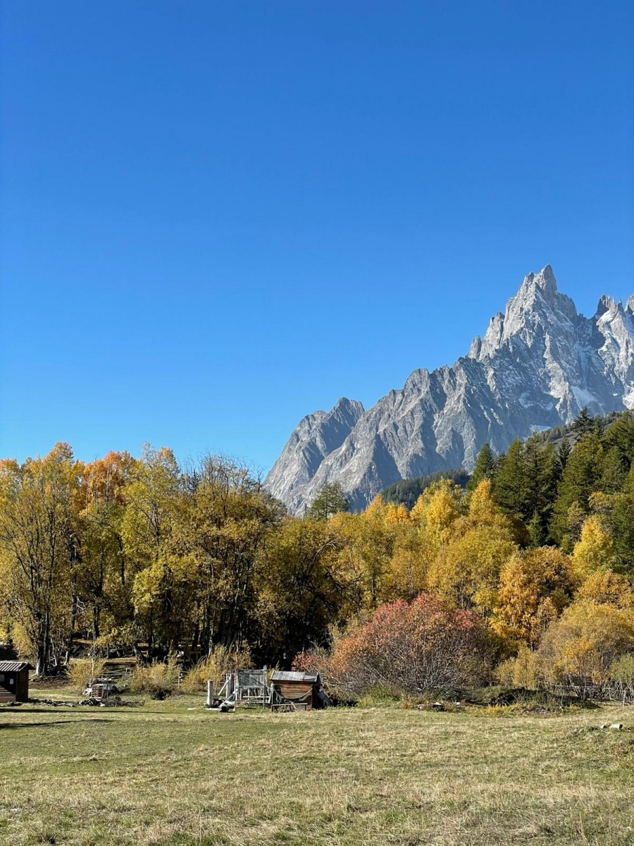 Incentive aziendale a Courmayeur tra formazione e team building - 8