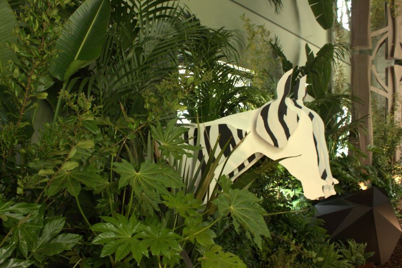 Una giungla urbana nel centro di Milano - 2