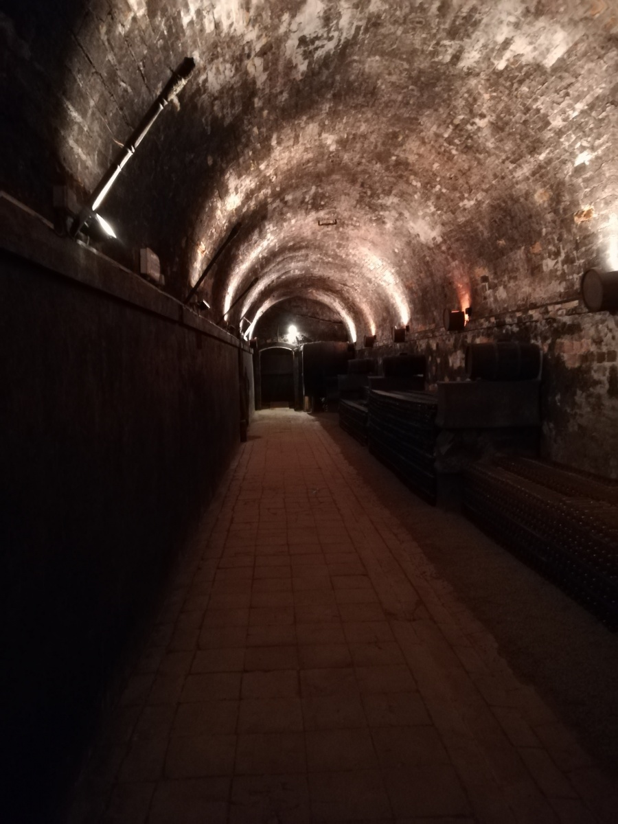 Incentive per il cliente Omnisint in Toscana - 19