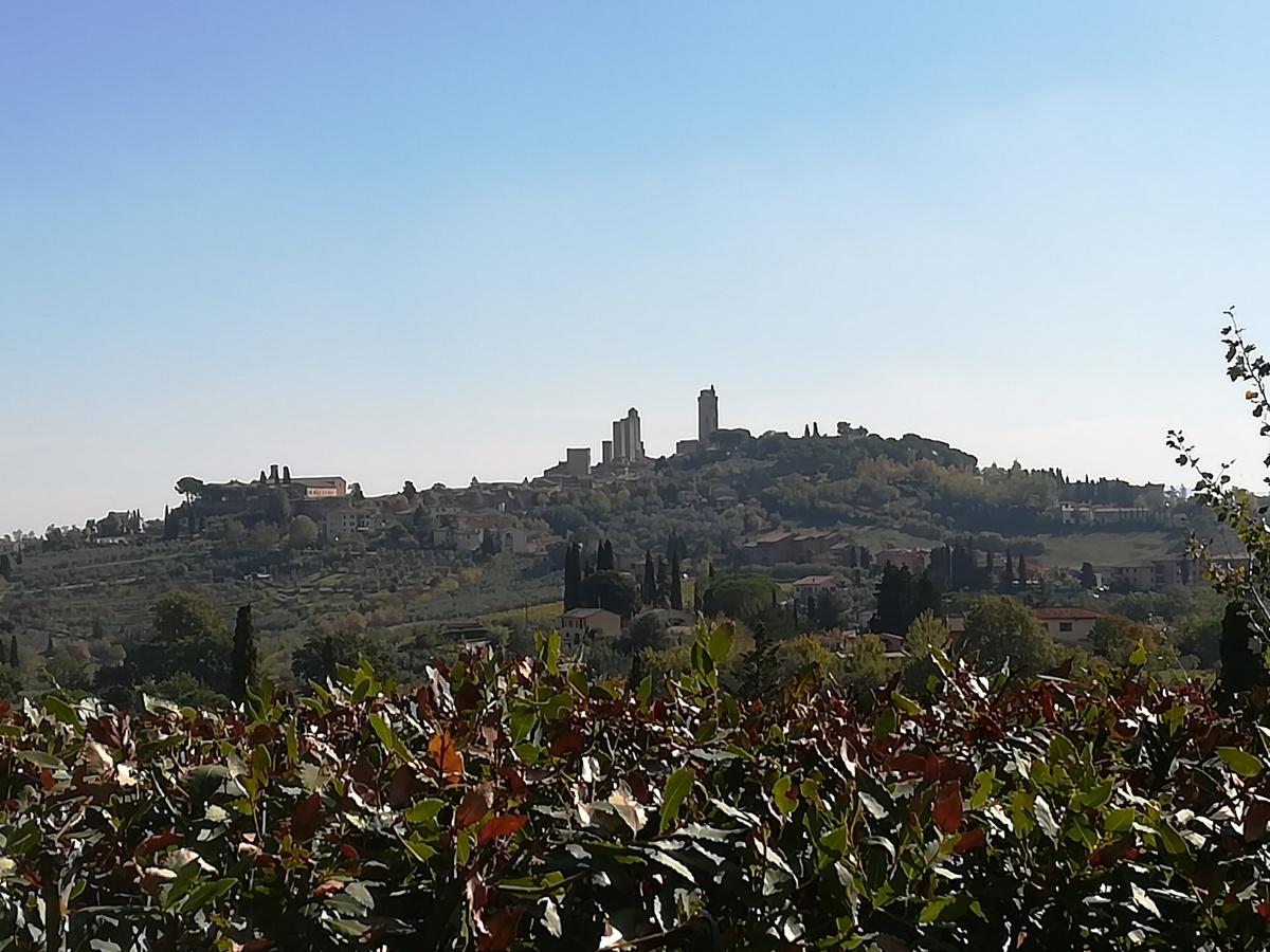 Incentive per il cliente Omnisint in Toscana - 0