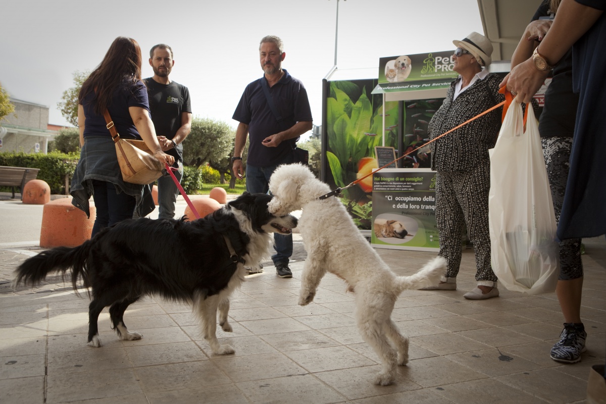 Villaggio Maxizoo a Roma con la testimonial Giorgia Palmas - 13