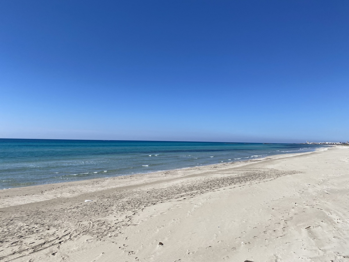 Viaggio Incentive in Puglia: L'Esperienza SIRAM VEOLIA - 5