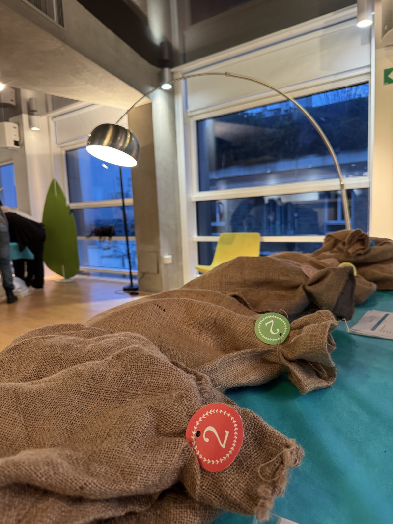 Team building Solidale: il "CHAIRITY BUILDING" Unisce Collaborazione e Beneficenza - 4