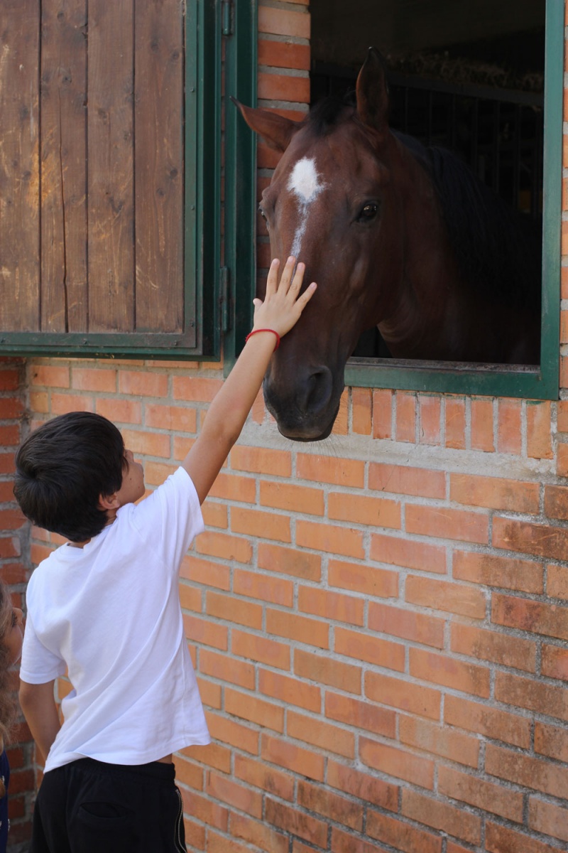 Pleasantville Festival Parco Nord Milano - 13