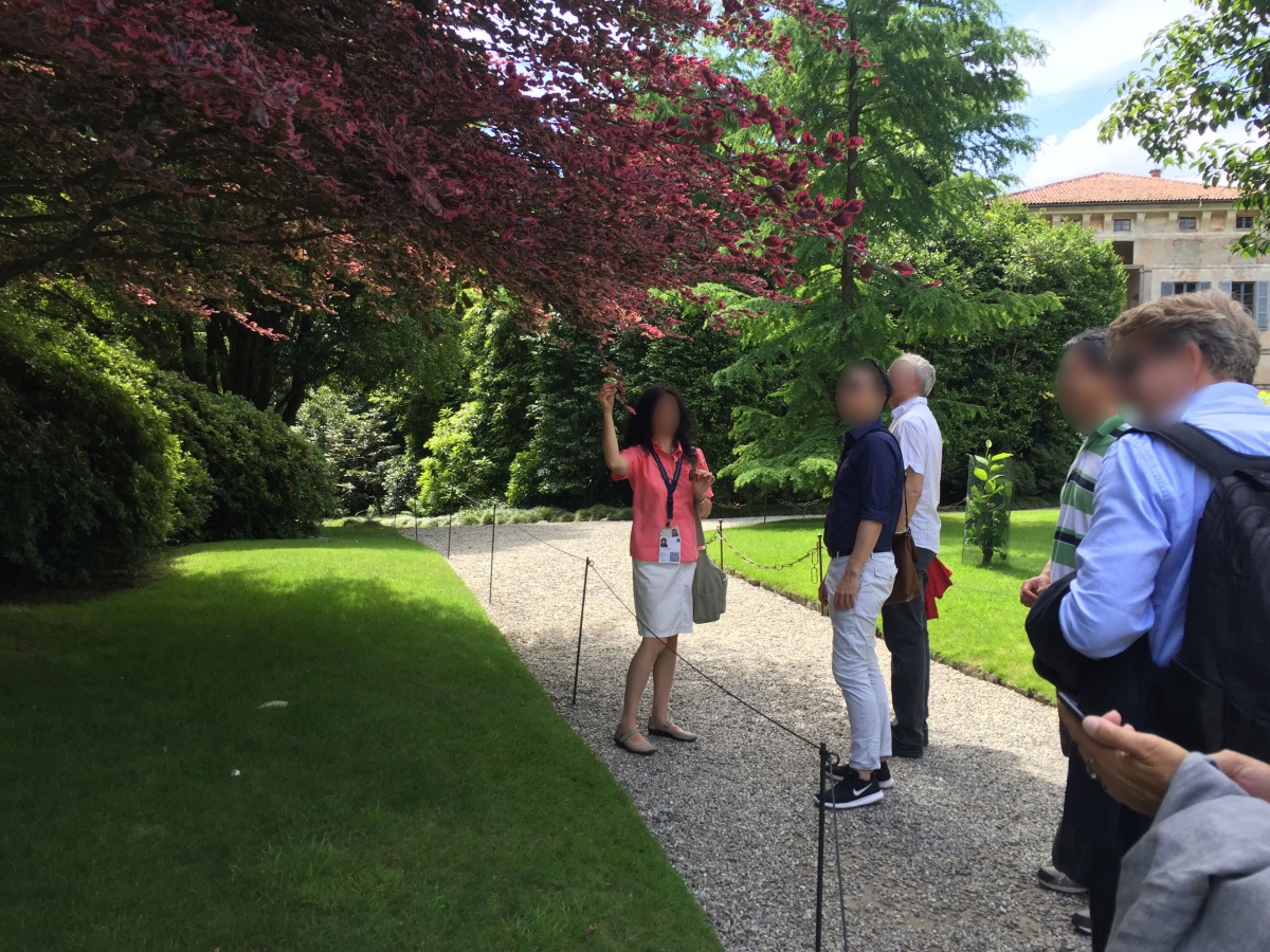 Canadian Solar Tour Incentive Isole Borromee - 6