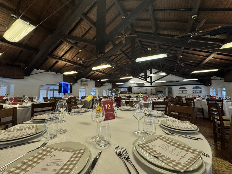 Quiz game personalizzato per evento aziendale nella natura - 10