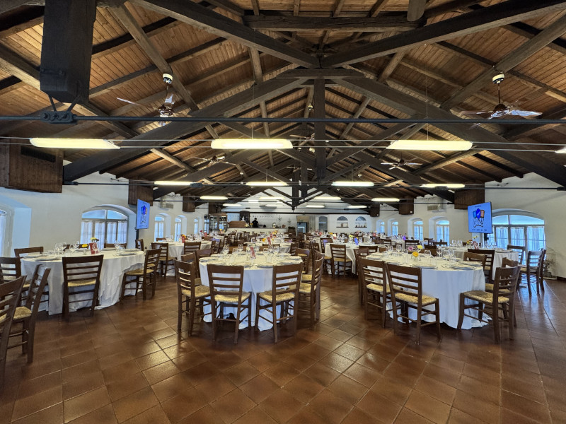 Quiz game personalizzato per evento aziendale nella natura - 9