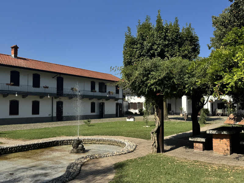 Quiz game personalizzato per evento aziendale nella natura - 1