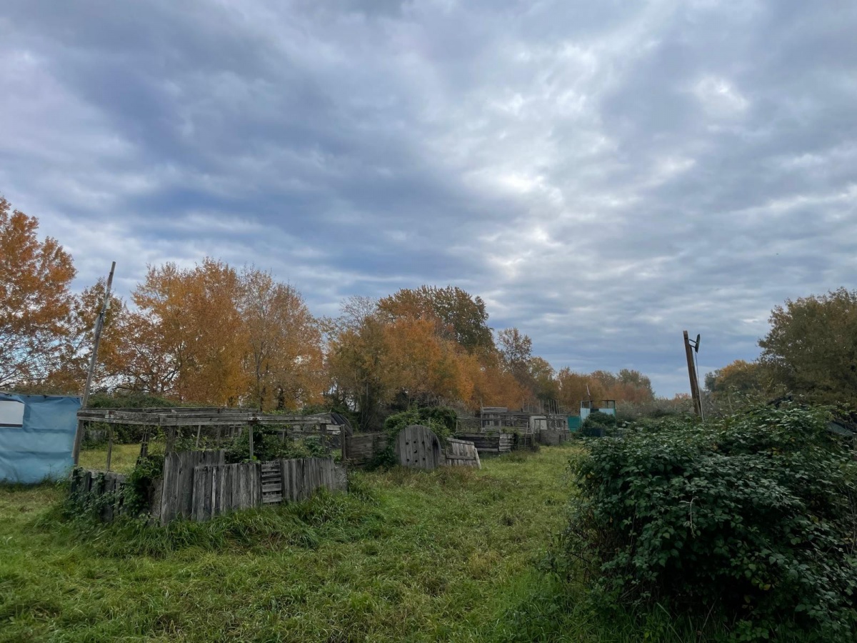 Adrenalina e Team Building: una Giornata di Softair Indimenticabile sul Tevere - 6