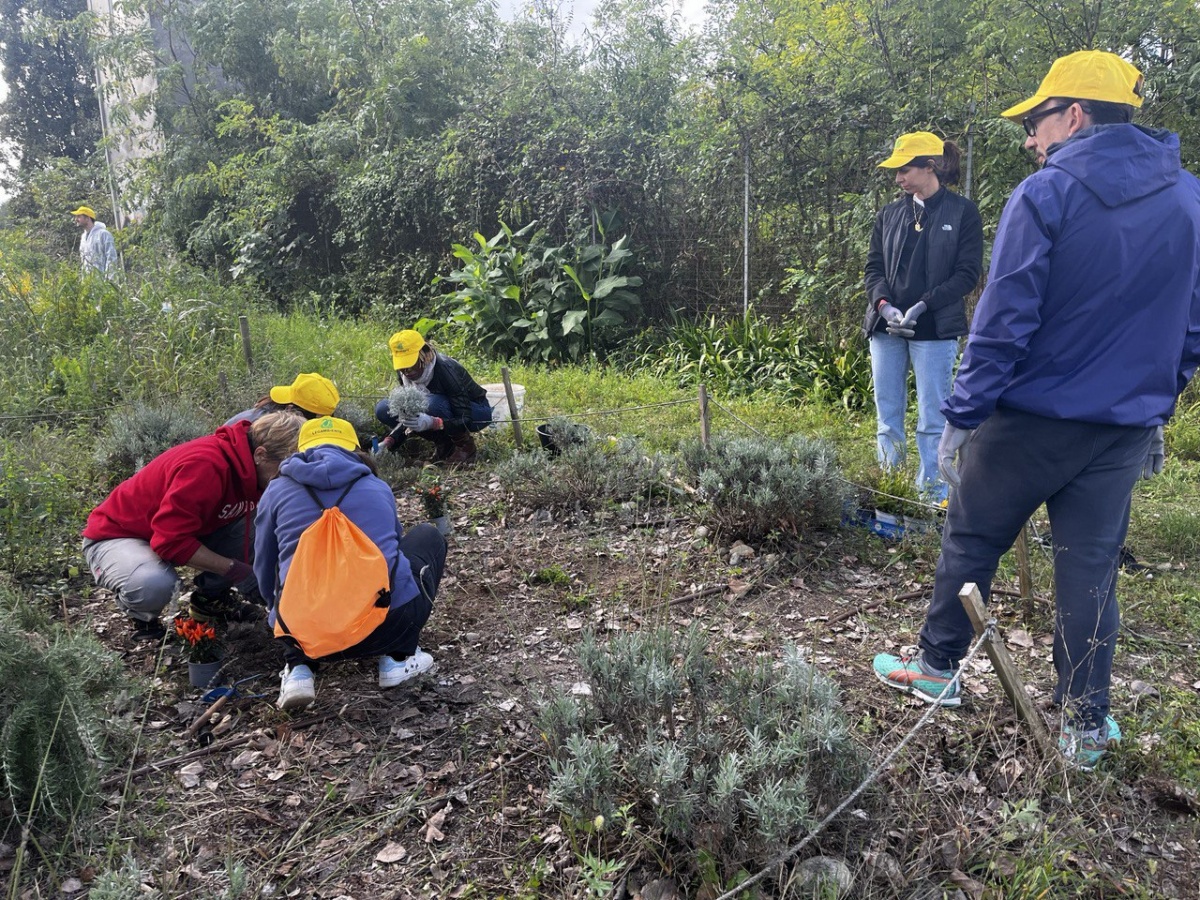 Team Building Ambientale con Legambiente: il progetto di Bureau Plattner - 8