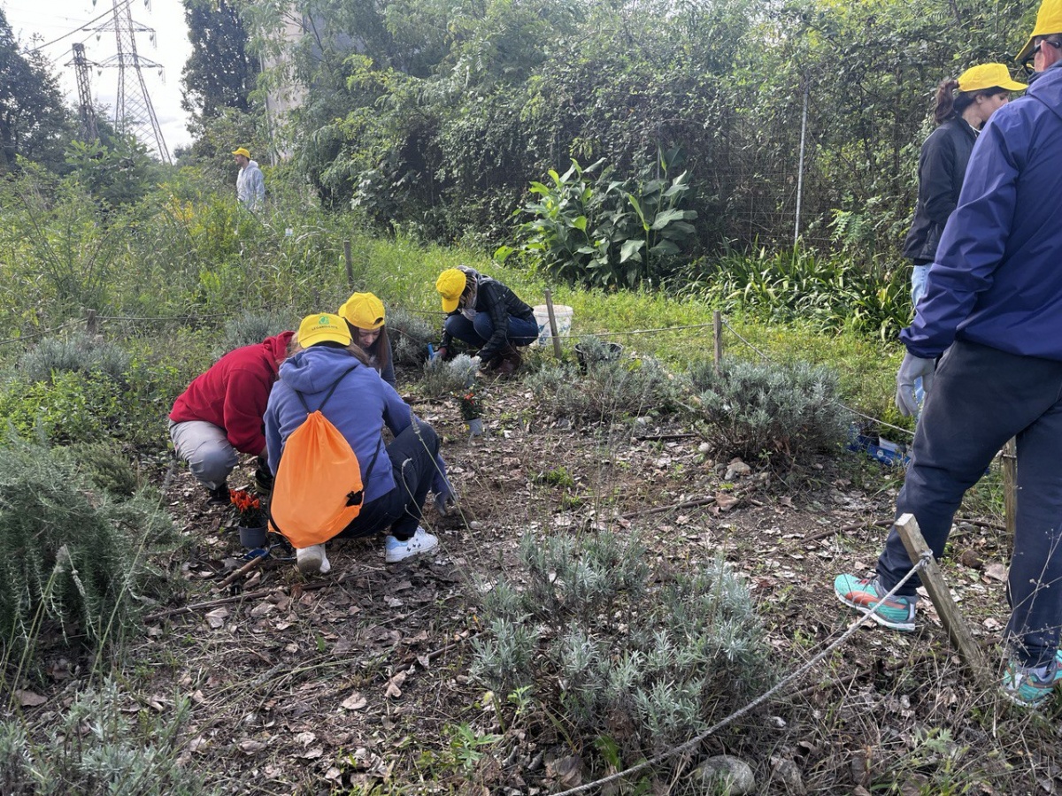 Team Building Ambientale con Legambiente: il progetto di Bureau Plattner - 4