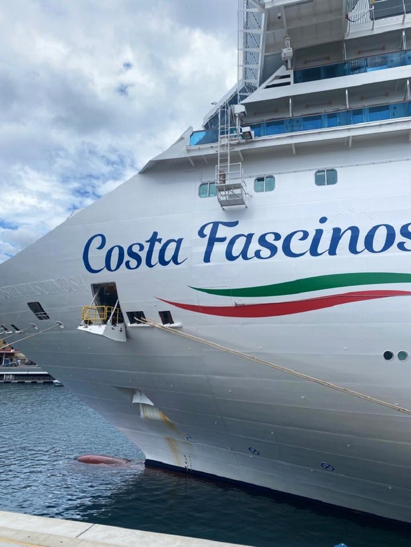 Viaggio incentive in crociera: un’avventura sorprendente - 11