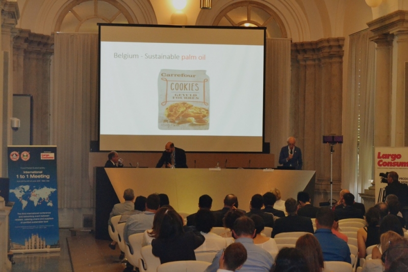 World Sustainability Organization - 0